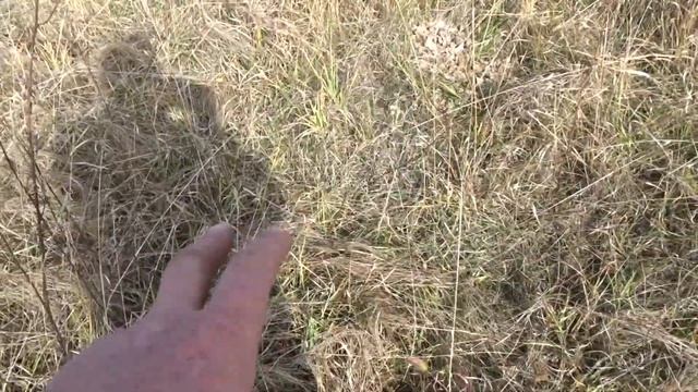 і таке приходиться орати )) смотреть онлайн