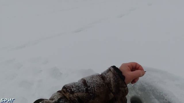 Секреты ловли плотвы в глухозимье смотреть онлайн