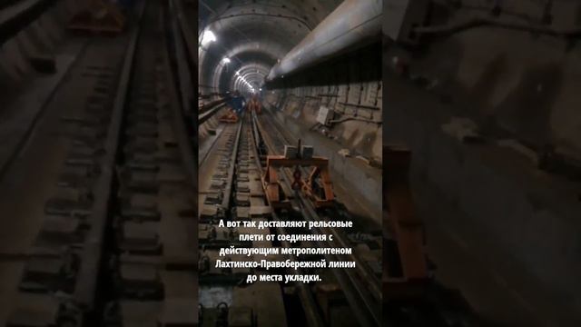 Лахтинско-Правобережной линии, Горный институт. смотреть онлайн