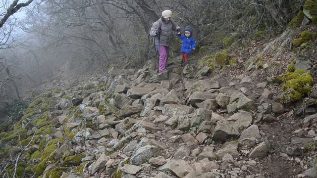 Аюдаг. Медведьгора. Походы по Крыму #YOKLMNRU смотреть онлайн
