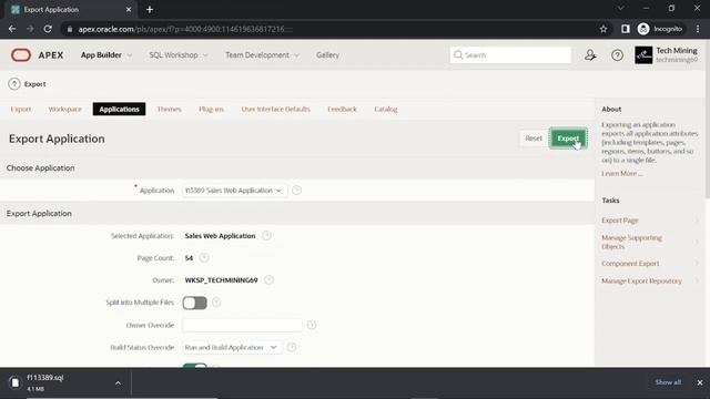 Application Deployment in Oracle APEX with Data - Part 40 смотреть онлайн