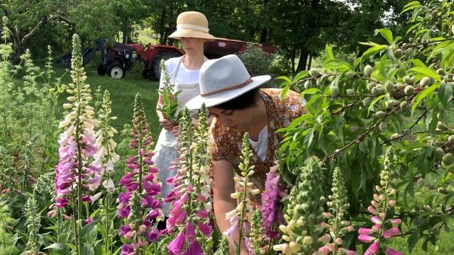 ONE: Things To Know Before You Start a New Garden! ...Soil Tests, Planning Garden Layouts, and more смотреть онлайн