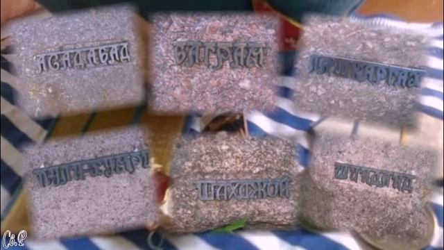 Александр Антонов - ШУРАВИ ( СОВЕТСКИЙ )