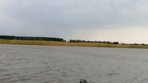 Лебяжье Астраханская область