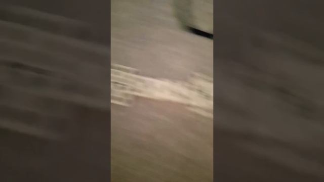 играю в домино на не настоящие деньги с @Creeper Denz , @Katosik смотреть онлайн