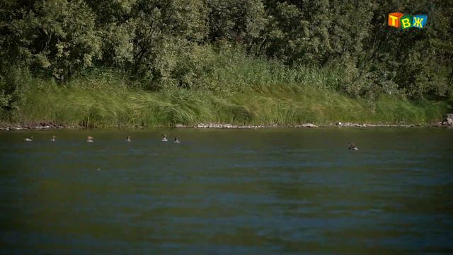 Усть Каспа Кордово смотреть онлайн