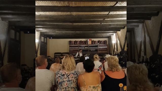 Памуккале 2часть /Настя захотела гранат/Дегустация турецкого вина/Турция-Москва ✈ смотреть онлайн