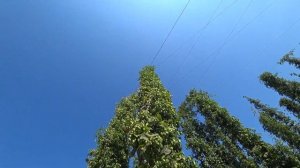 Путешествие в Европу на машине. От Москвы до Парижа. 7 стран.