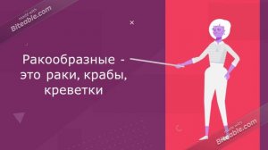 Разнообразие животных