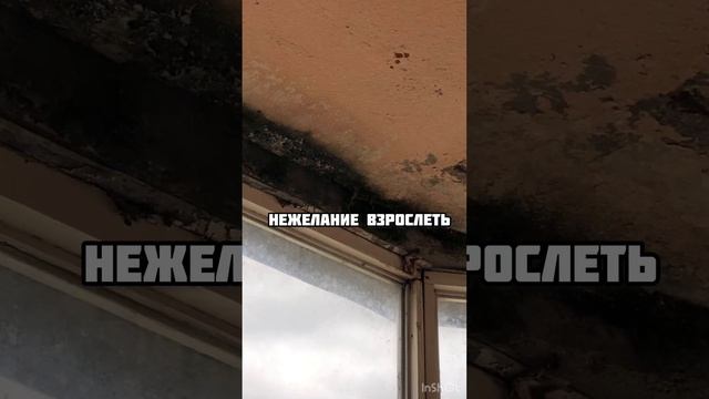 Почему в доме бардак? #ремонт #порядоквдомевсегда #порядоквшкафу #уют #порядоквдоме #чистота смотреть онлайн