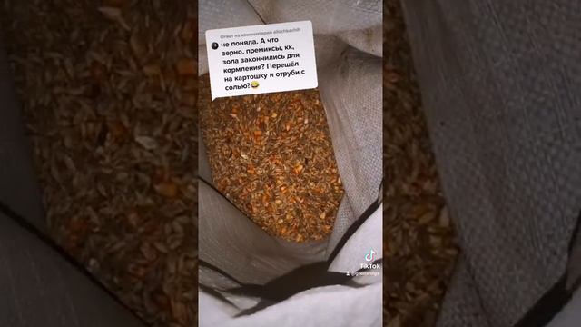 Ответ Аллочке-Людоедочке жене деда чтп смотреть онлайн