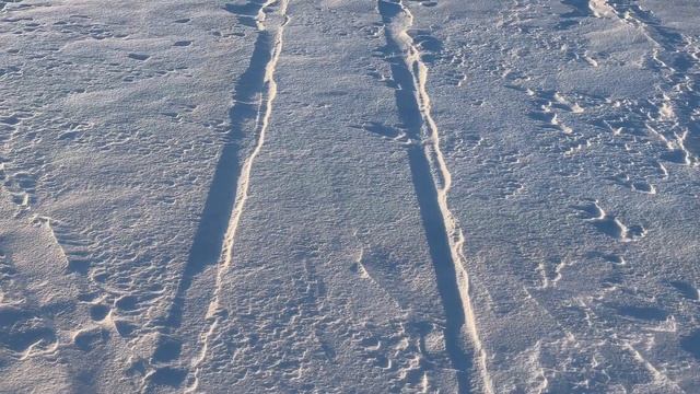 17.02.2023(4k video exclusive) смотреть онлайн