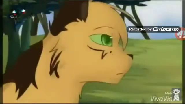 Коты воители - так устроен этот мир смотреть онлайн