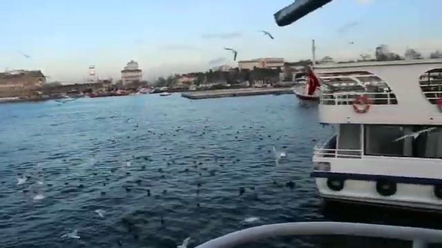 Istambul.Стамбул. Босфор.Утро.Чайки смотреть онлайн