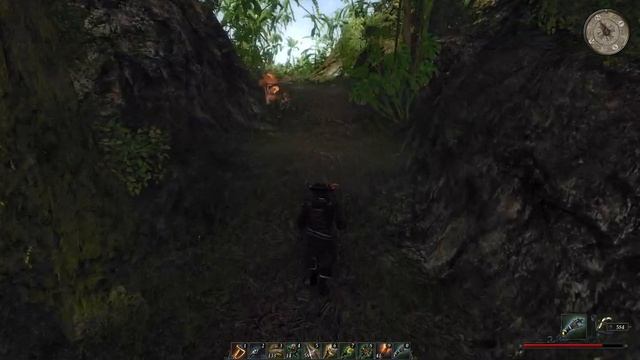 35) Risen 2 - Dark Waters ( Остров воров - постройка плота , сбор кладов и отплытие на Такаригуа ) смотреть онлайн