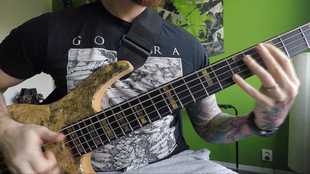 |Bass Cover| Pendulum Remix - Voodoo People (PK Custom Vega Headless Bass) #bass #cover #prodigy