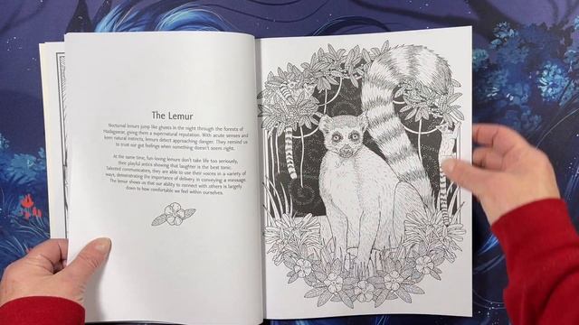 Flip Thru: Mystic Animals Coloring Book By Stratten Peterson