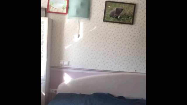 Отличие меня от других людей 😂 смотреть онлайн