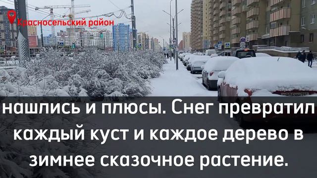 My city - Saint Petersburg №2. Снегопад весной. смотреть онлайн