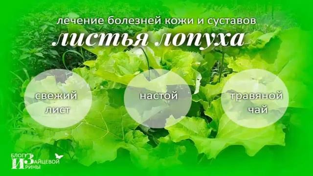 Прехватывающие волосы - искусство и стиль