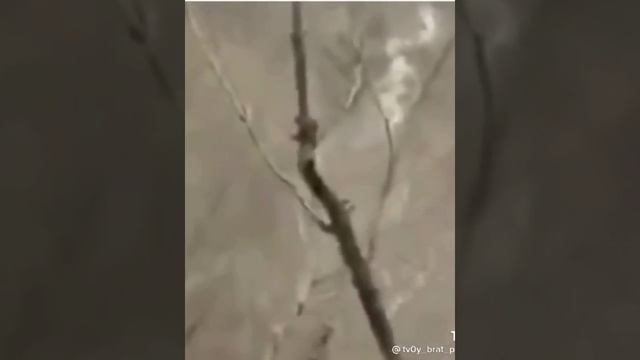 АЛЛАХ1 ДАЛ ГЕЧ ДОЙЛ ХЬУН ДЖОВХАР ???????? смотреть онлайн