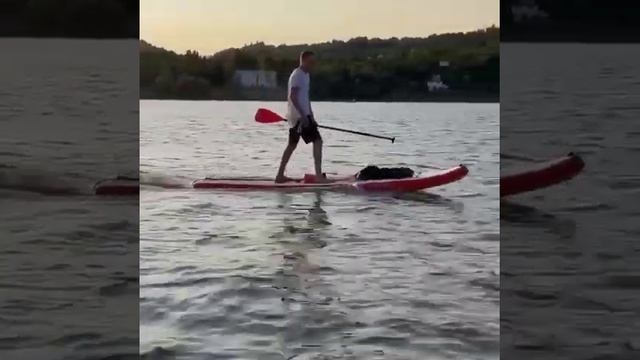 Сап с мотором 3,6кВт . Видео с лодки . Если сравнивать , то 3,6 кВт это как Hangai5-6лс на резинке. смотреть онлайн