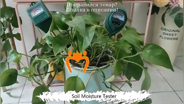 Измеритель влажности почвы увлажнитель, измеритель влажности, датчик влажности для улицы, дома, сад