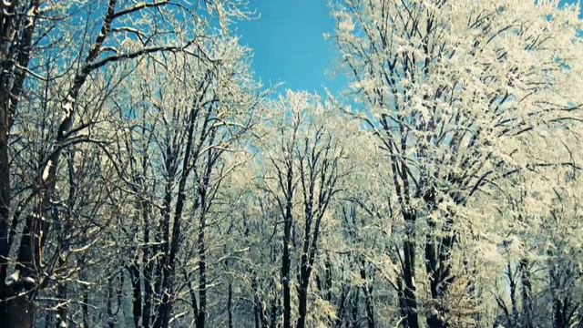 Кратко о жизни Богдана Яновича (2016.11.25 21:43:21) смотреть онлайн