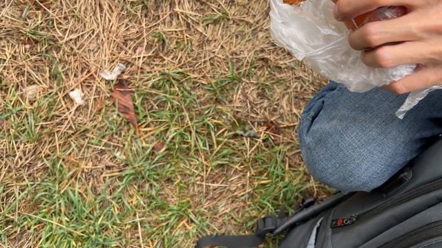 Мастерство Образа