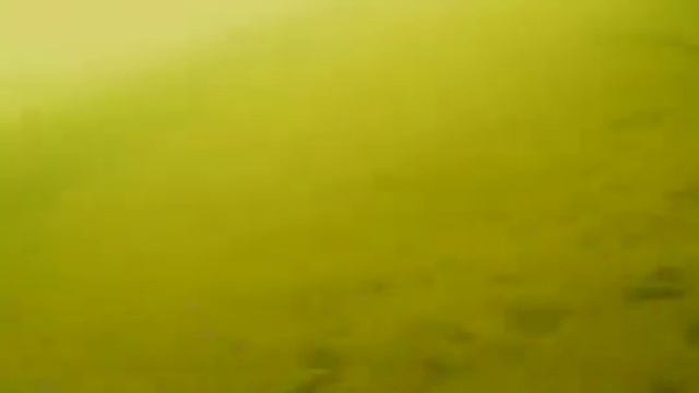 подводная камера Калипсо. Реальная видимость на глубине 7-8 метров. Осень 2020год. р.Ик. смотреть онлайн