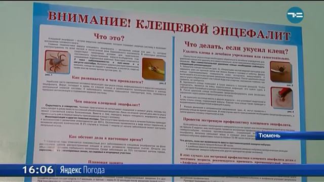 В Тюмени зафиксирован первый случай заболевания клещевым борреллиозом