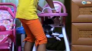 Ярослава играет с котенком. Видео для детей. Котенок Барсик - новый питомец Ярославы