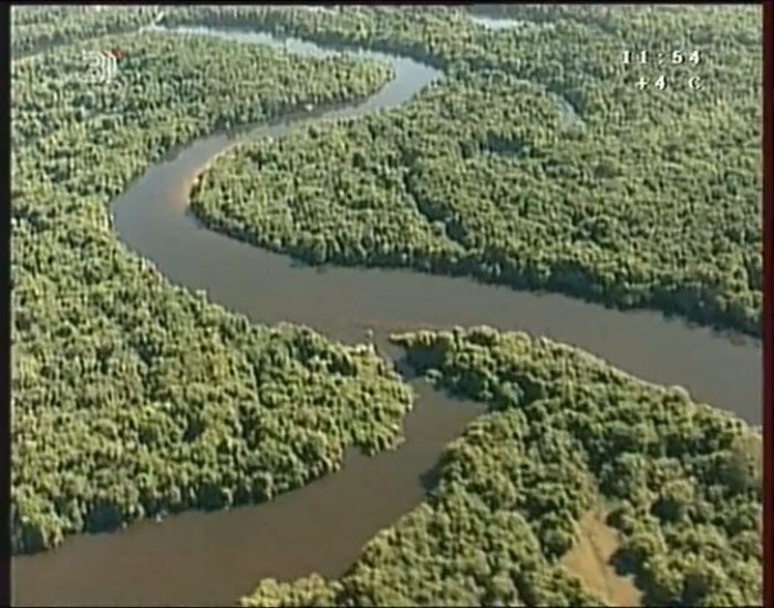 Pantanal Sea Of Grass