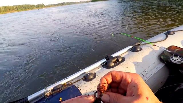 Ловим Язя и Леща на Кольцо! Отличный Улов, Первый день! смотреть онлайн