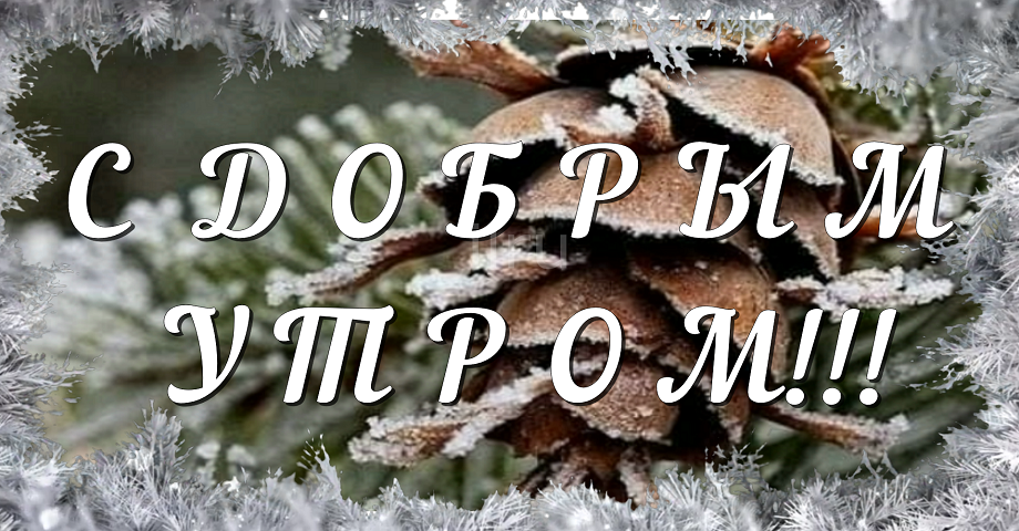 Доброе Зимнее Утро! Красивое Пожелание!