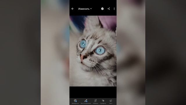 БЕСПЛАТНЫЙ ПРЕСЕТ+ПРЕСЕТЫ В ЛАЙТРУМЕ-КАК УСТАНОВИТЬ ИХ НА ТЕЛЕФОН LIGHTROOM MOBILE смотреть онлайн