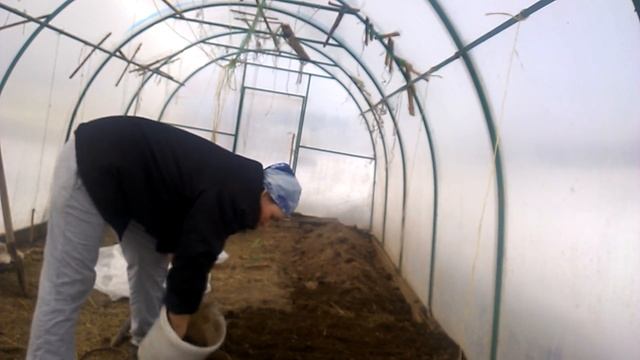 Как вырастить раннюю зелень на Урале. Мой способ // Дела огородные смотреть онлайн