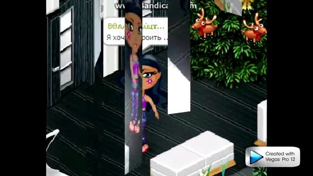 Вопрос-Ответ /Аватария