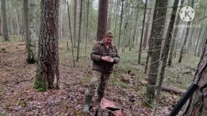 Охота на лося с лайкой!!! Ноябрь 2023!!! Натаска щенка лайки!!!