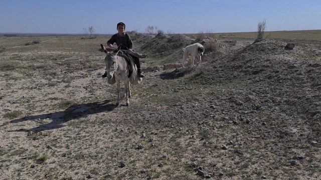 юный чабан и его Банда! смотреть онлайн