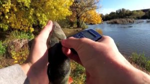 КРУПНЫЙ ОКУНЬ НА НЕОНОВЫЙ СИЛИКОН _ ловлю окуня на самодельный силикон