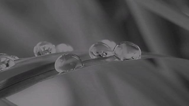 Air on G String (G선상의 아리아) смотреть онлайн