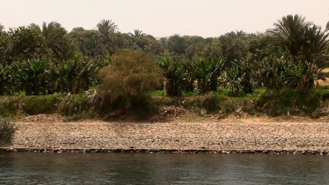EGYPT the river, the gods, the city, the desert смотреть онлайн