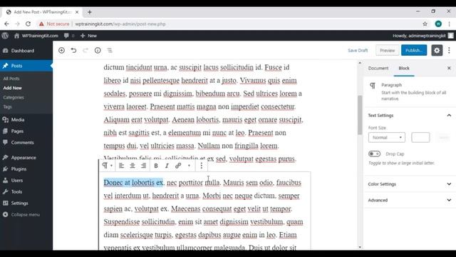 Video 10 - Make and Edit Post With New Wordpress Editor смотреть онлайн