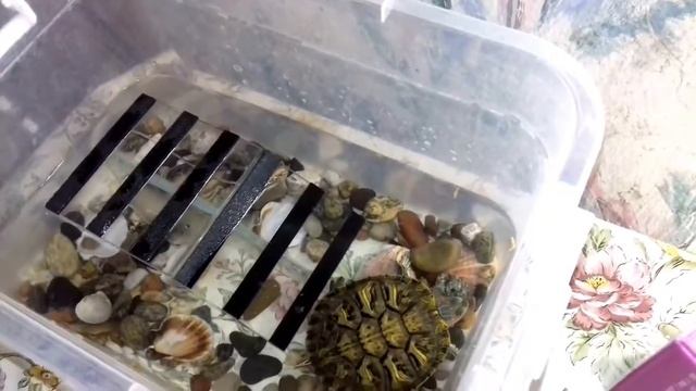 попугай гоша смотреть онлайн