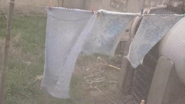 Ветер, сетка и мотор.mp4