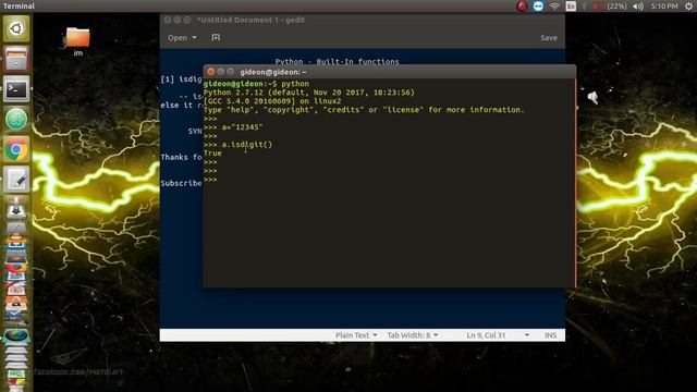 Python : Find whether the string is Full of Digits смотреть онлайн