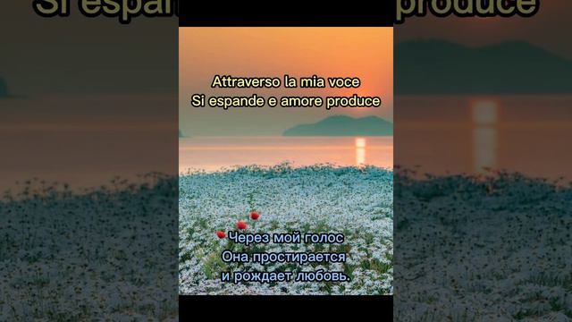 "Vivo per lei" ("Ich lebe für sie") Lyrics Караоке смотреть онлайн