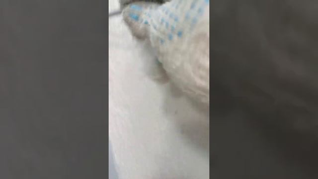 Выполнение перемонтаж входной двери из алюминия в магазине и замена петель