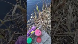 Карась 9апреля в новотитаровской